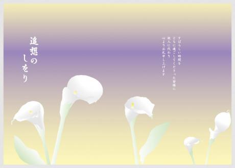 カラー 紫【KA-1-00】