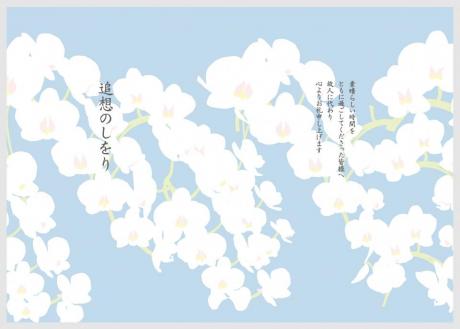 こちょうらん 青【KO-1-00】