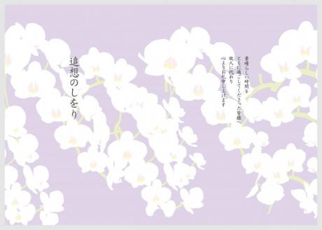 こちょうらん 紫【KO-2-00】