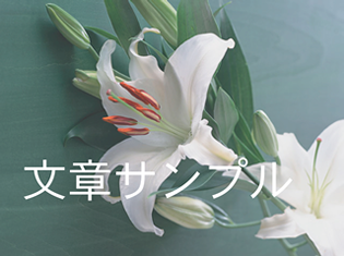 文章サンプル
